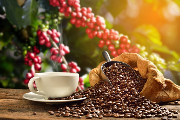 How to Store Coffee Beans to Keep Them Fresh